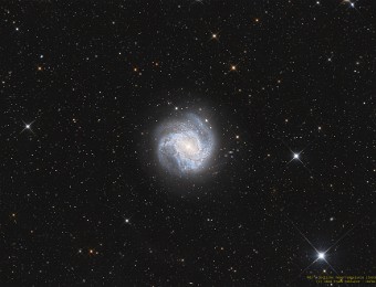 2024/05 M83 Southern Pinwheel (Südliches Feuerrad) M83, auch bekannt als die Südliche Feuerrad-Galaxie, ist eine prächtige Balkenspirale im Sternbild Wasserschlange, etwa 15 Millionen Lichtjahre entfernt. Mit...