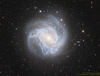 2024/05 M83 Southern Pinwheel (Südliches Feuerrad) Ausschnitt Hier ist ein Ausschnitt der Pinwheel-Galaxie vom vorherigen Bild. Omegon VeTec571C; 12 ASA Newton; 53 x 180 Sekunden; AP1200GTO Aufnahmeort/-datum: Astrofarm...