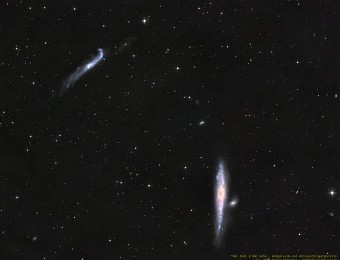 2024/04 NGC 4631 und NGC4656 Wal- und Hockeyschlägergalaxie Die Walgalaxie und die Hockeyschlägergalaxie verdanken ihren Namen den ungewöhnlichen Formen, die auf gravitative Wechselwirkungen mit anderen Galaxien...