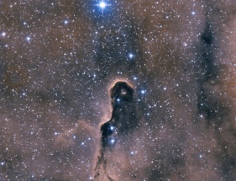 2020/07 IC1396 Elefantenrüsselnebel Bicolor Der Elefantenrüsselnebel ist eine Globule und ein Sternentstehungsgebiet im Sternbild Kepheus. Moravian Instruments G2-8300; ONTC Newton 8"; 5 x 600 Sek. Ha, 10...