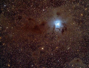 2019/09 NGC7023 Irisnebel Der Irisnebel ist ein Reflektionsnebel im Sternbild Kepheus mit hellen und dunklen Staubwolken. NIKON D5100 mod.; Esprit 80 ED; 160 x 120 Sek.; ISO 200; EQ6-R...